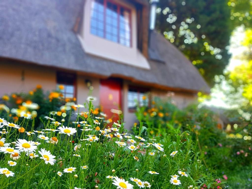 Granny Mouse Country House & Spa Balgowan Экстерьер фото